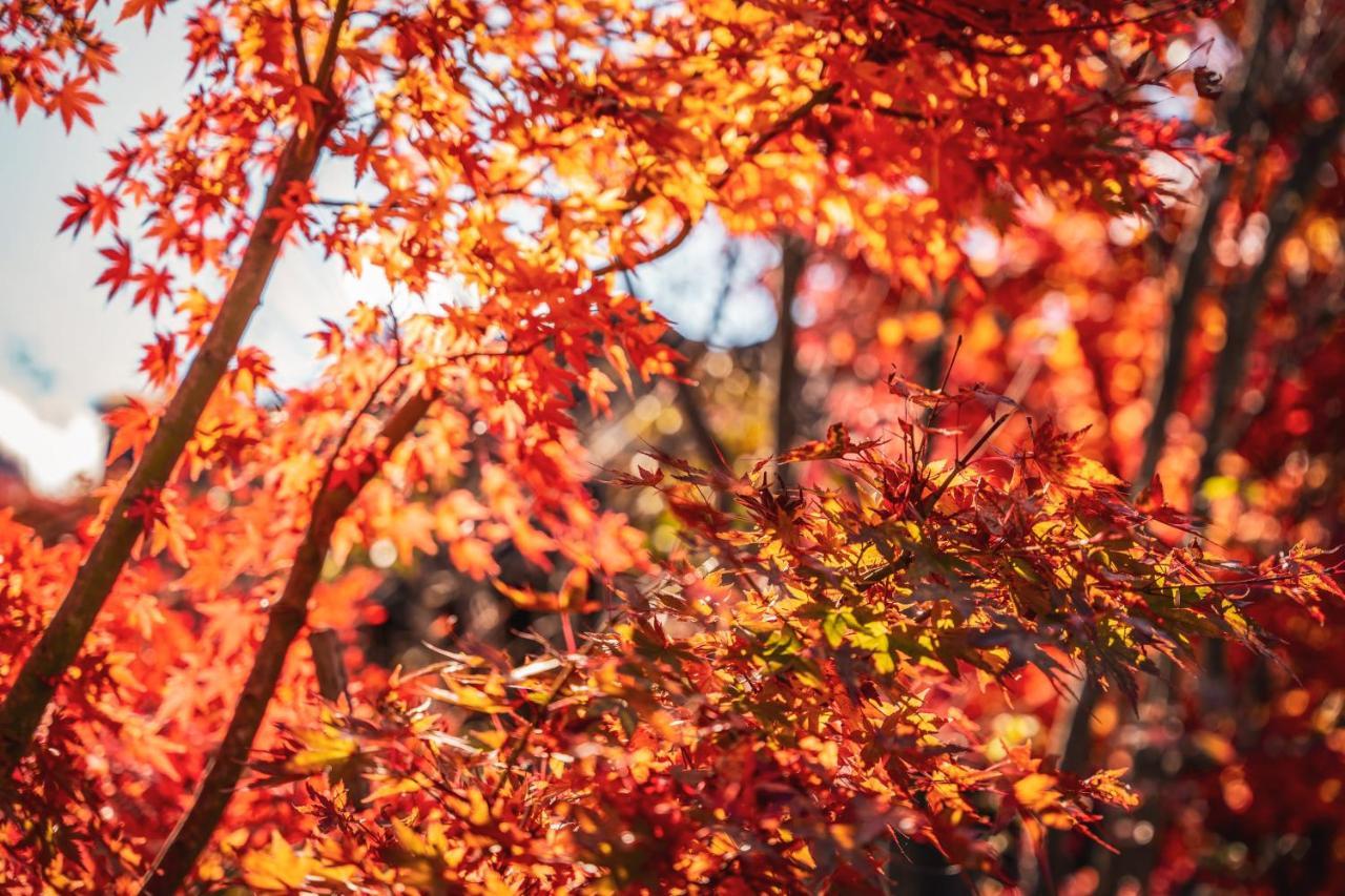 Yamakikan Naganohara Buitenkant foto
