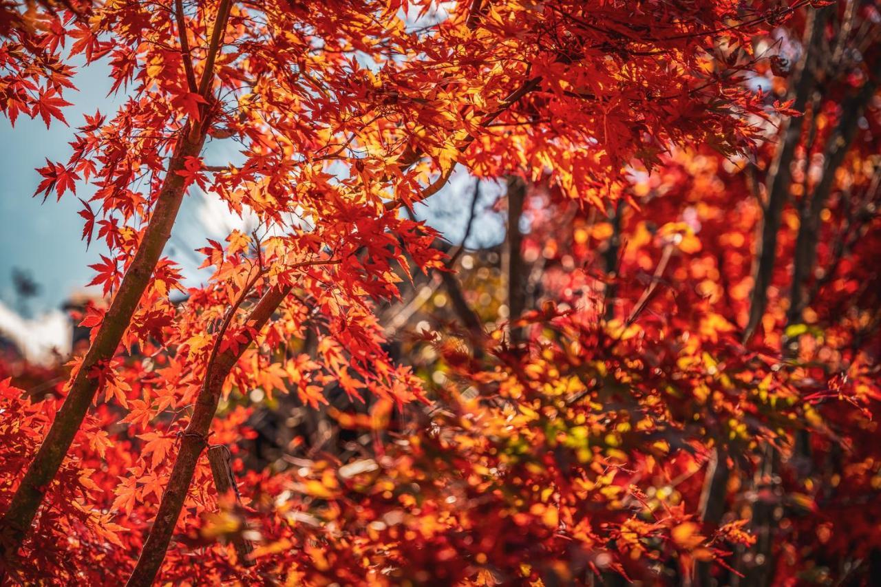 Yamakikan Naganohara Buitenkant foto